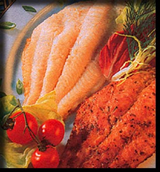 Catfish Spezialit&auml;t